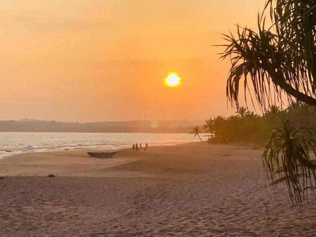 Mangrove Beach Cabana Tangalle Dış mekan fotoğraf