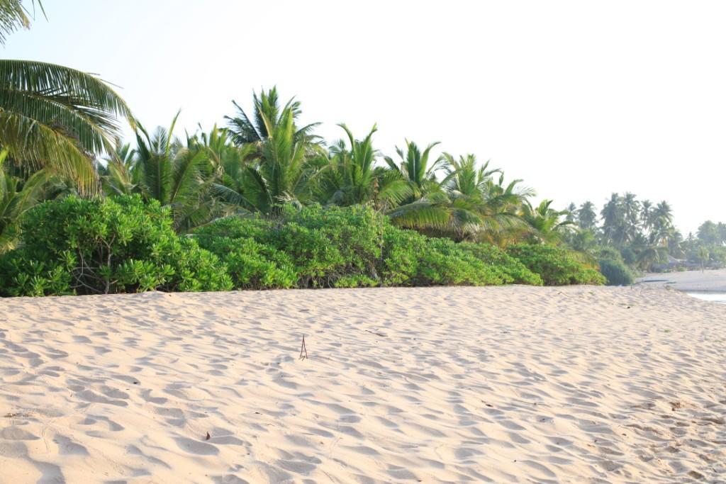 Mangrove Beach Cabana Tangalle Dış mekan fotoğraf