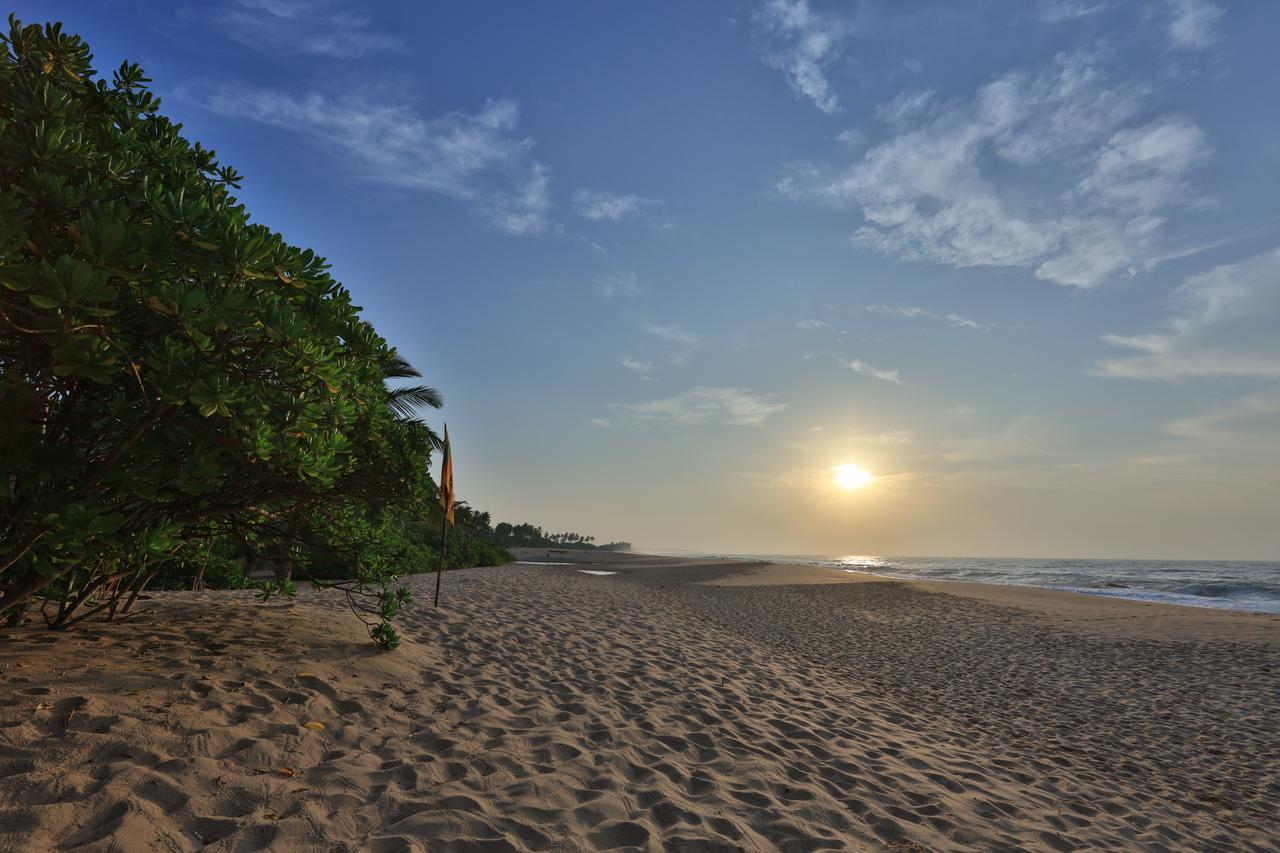 Mangrove Beach Cabana Tangalle Dış mekan fotoğraf